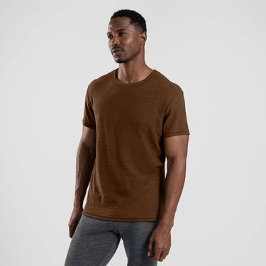 Men's Alpaca Wool T-Shirt: 160 Ultralight Crew Neck color brown
