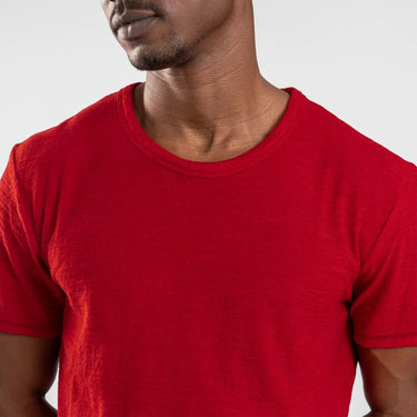 Men's Alpaca Wool T-Shirt: 160 Ultralight Crew Neck color red