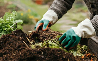 From Wardrobe to Garden: How to Compost Wool Clothing Sustainably