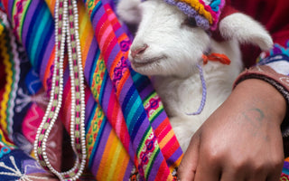 Women Artisans in the Peruvian Andes: Weaving Legacy, Resilience, and Identity