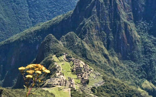 view of machu picchu from part way up machu picchu mountain