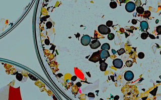 Health Risks of Synthetic Fibers: Microplastics & Clothing