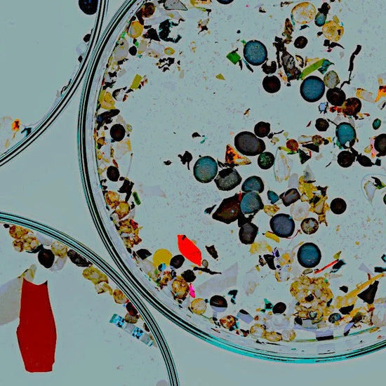Health Risks of Synthetic Fibers: Microplastics & Clothing