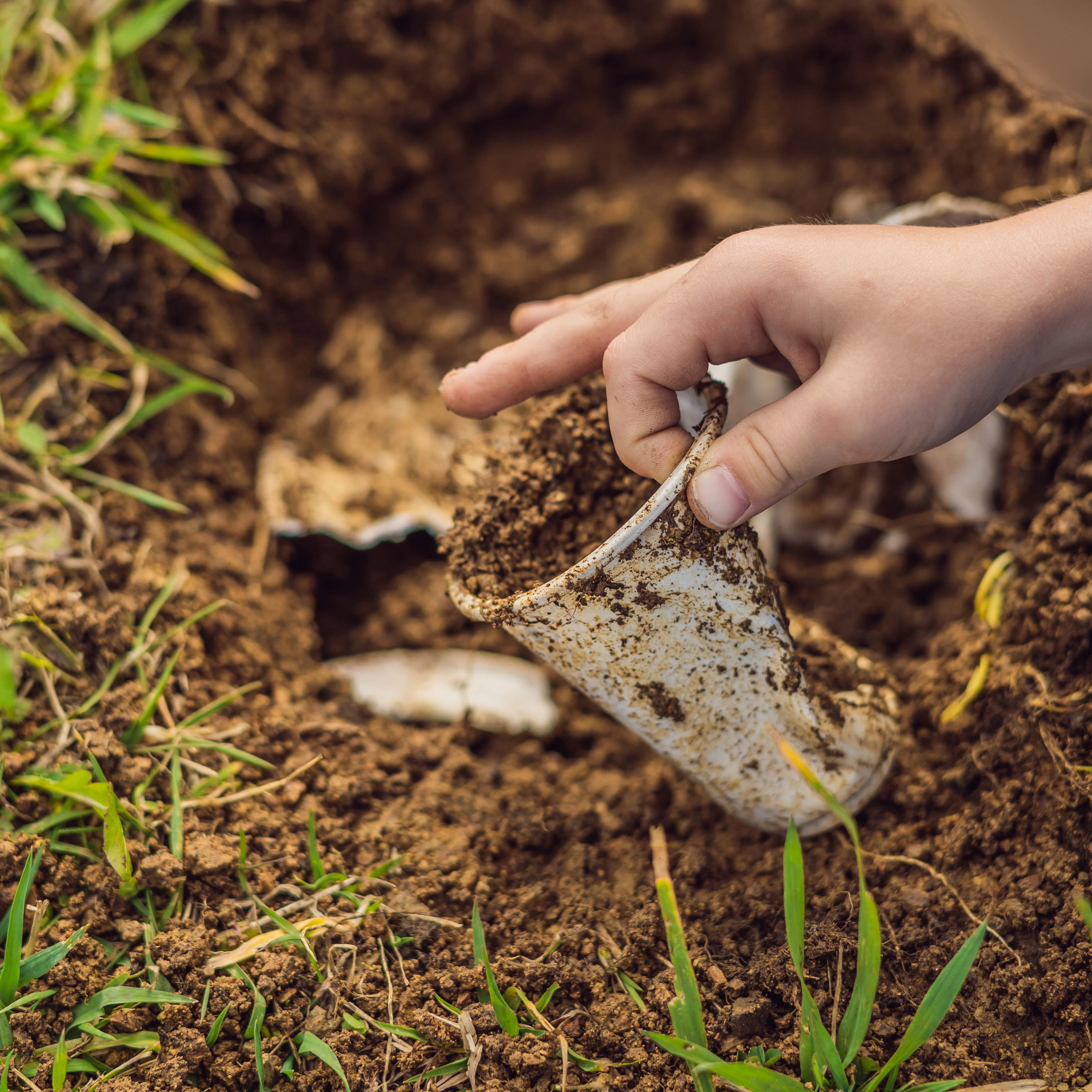 Biodegradable vs. Compostable What is the Difference?