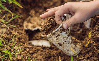 Biodegradable vs. Compostable What is the Difference?