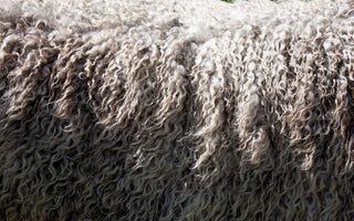 What Is a Micron In Wool Clothing?