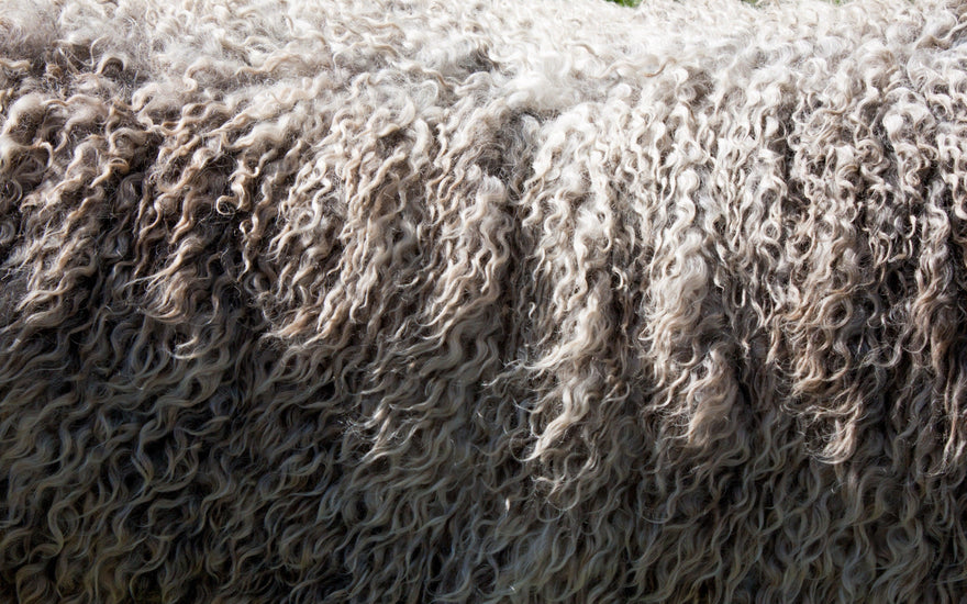 What Is a Micron In Wool Clothing?