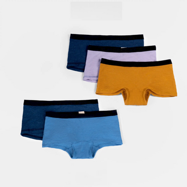 5 Pack Bundle - Women's Alpaca Wool Panties: 160 Ultralight cover 1