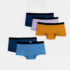 5 Pack Bundle - Women's Alpaca Wool Panties: 160 Ultralight