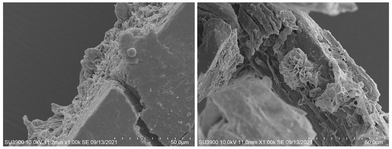 left image