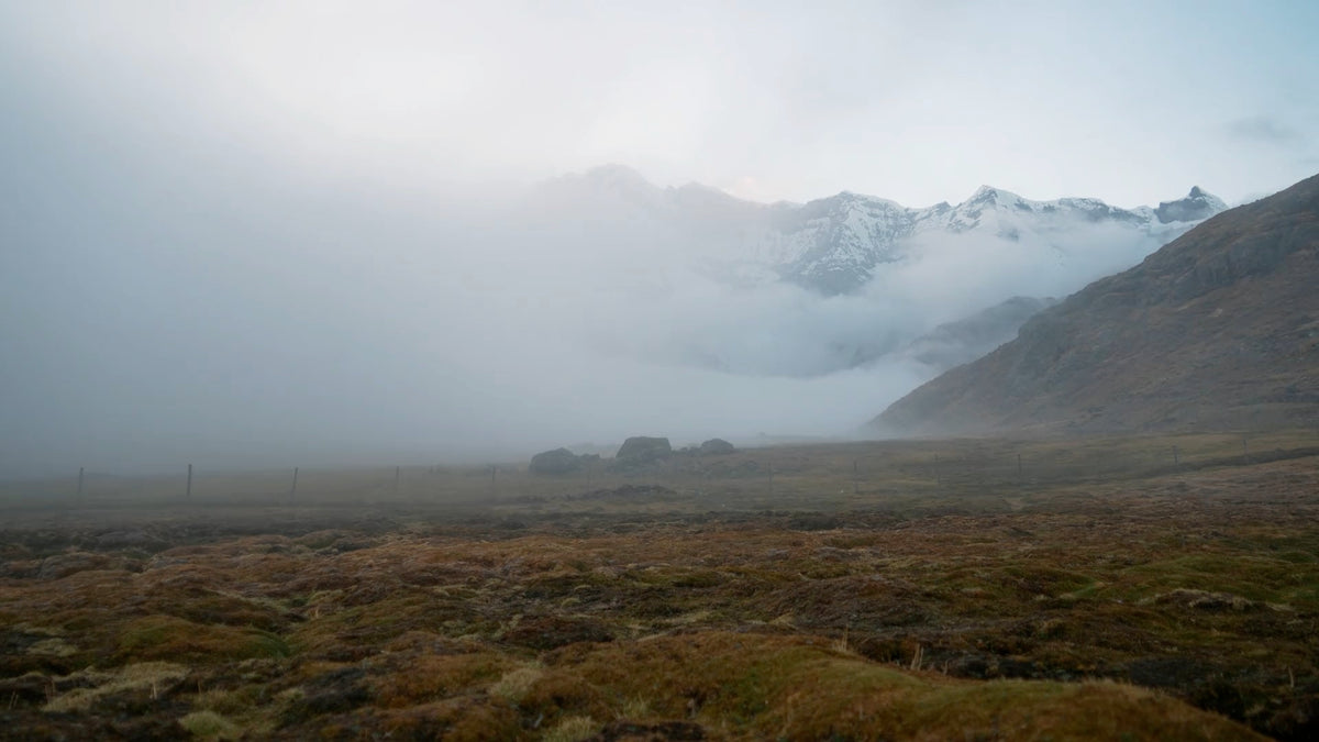 Snow-capped mountains rising above morning fog over a highland valley