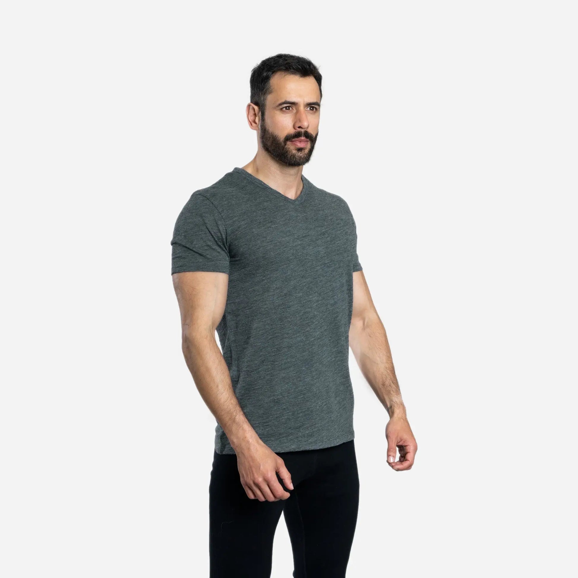 mens sustainable vneck tshirt color gray