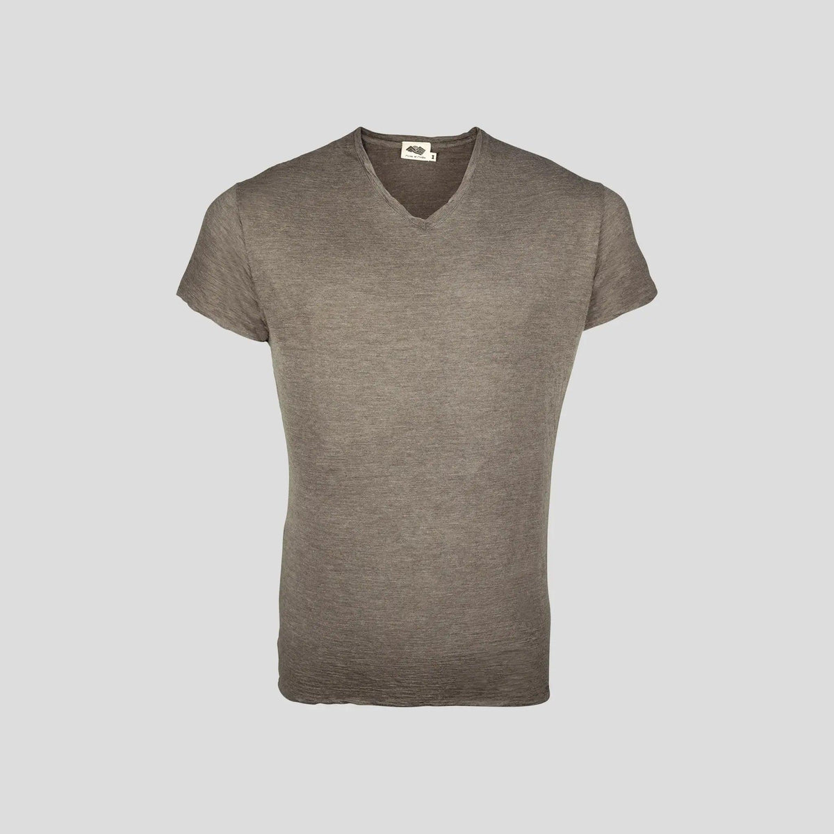 Men's Alpaca Wool T-Shirt: 160 Ultralight V-Neck color natural gray