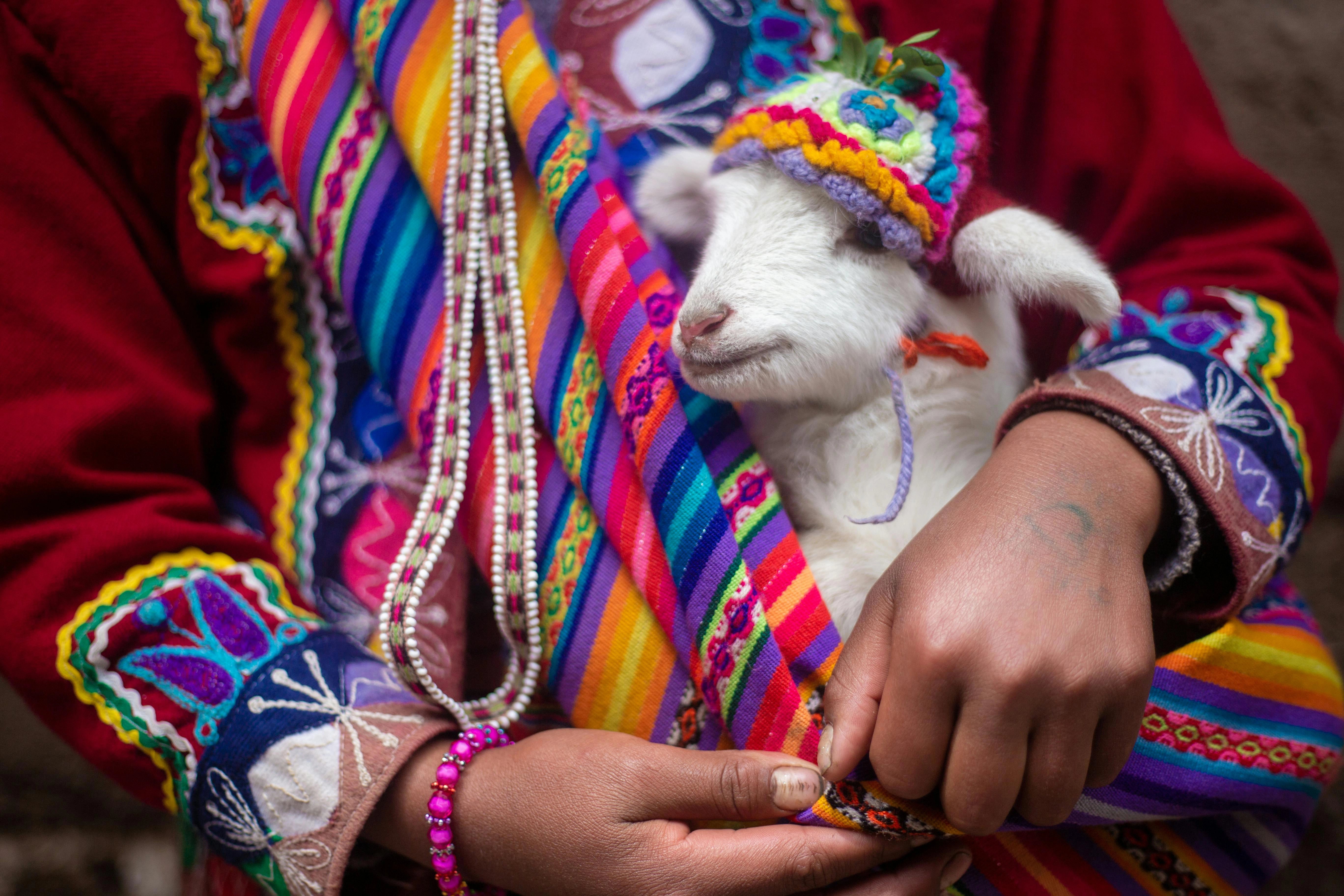andean-woman-baby-lamb-handwoven-textile-peru.webp__PID:9bf9fad7-7b52-4b68-870e-63fb691f243e