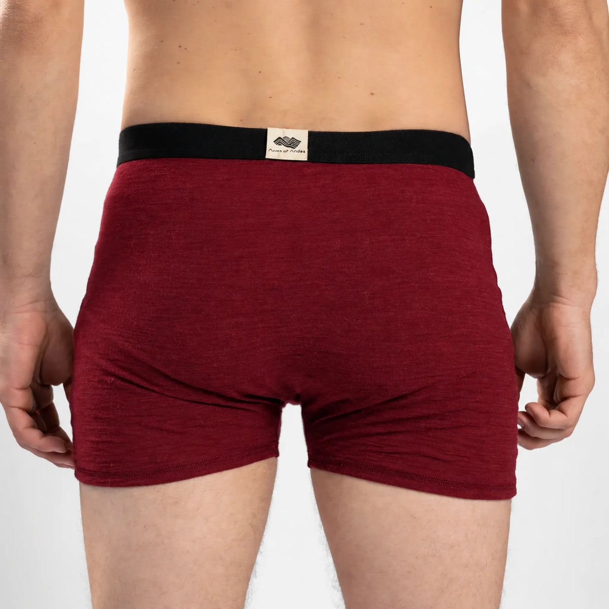 Men's Alpaca Wool Boxer Briefs: 160 Ultralight color natural maroon