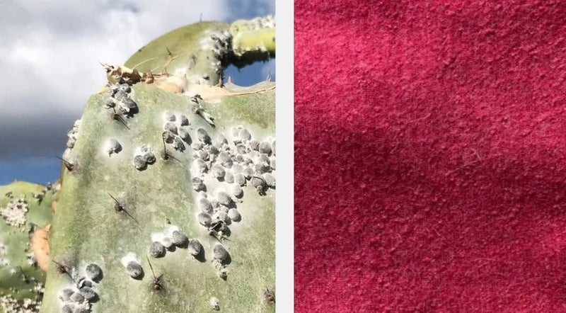 left image