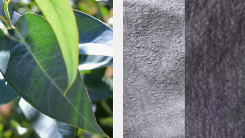 left image