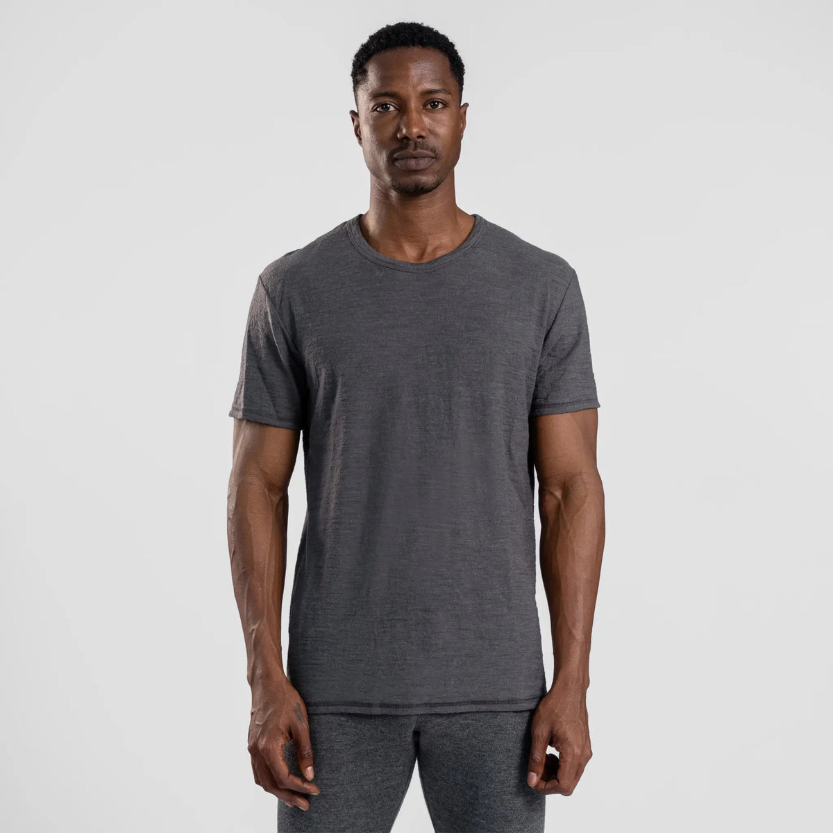 Men's Alpaca Wool T-Shirt: 160 Ultralight Crew Neck color gray