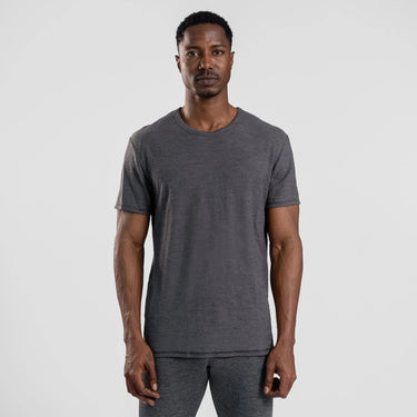 Men's Alpaca Wool T-Shirt: 160 Ultralight Crew Neck color gray