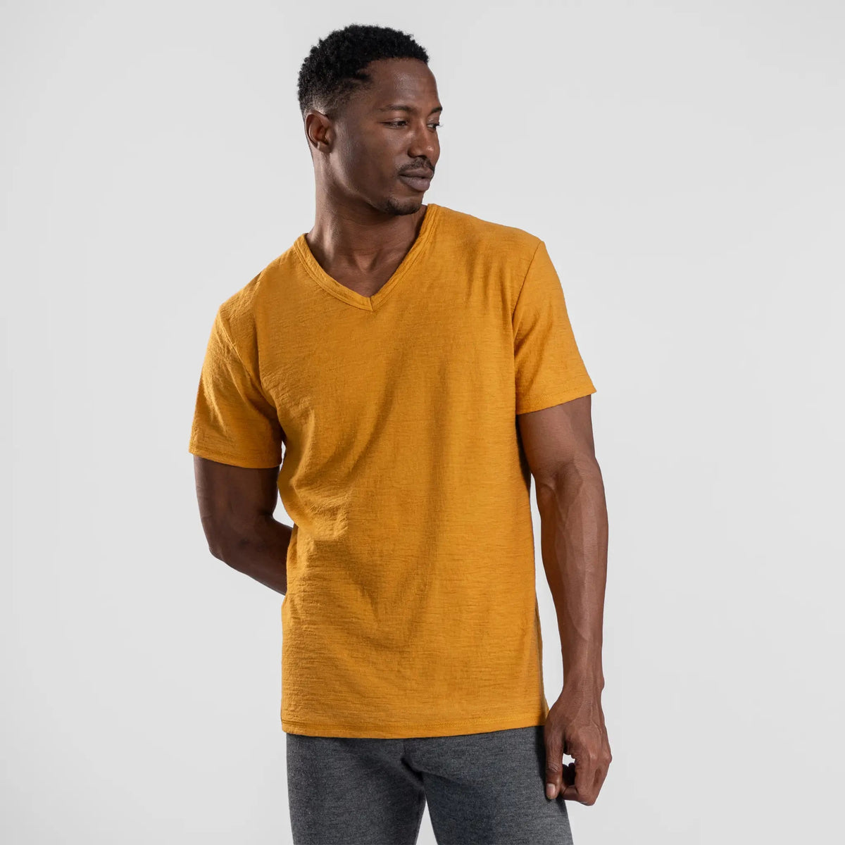 Men's Alpaca Wool T-Shirt: 160 Ultralight V-Neck color gold