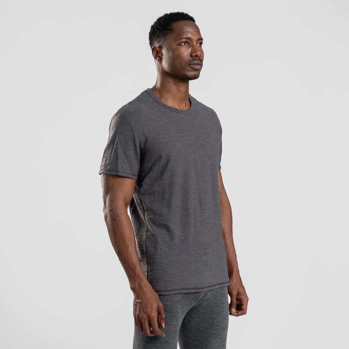Men's Alpaca Wool T-Shirt: 160 Ultralight Crew Neck color gray