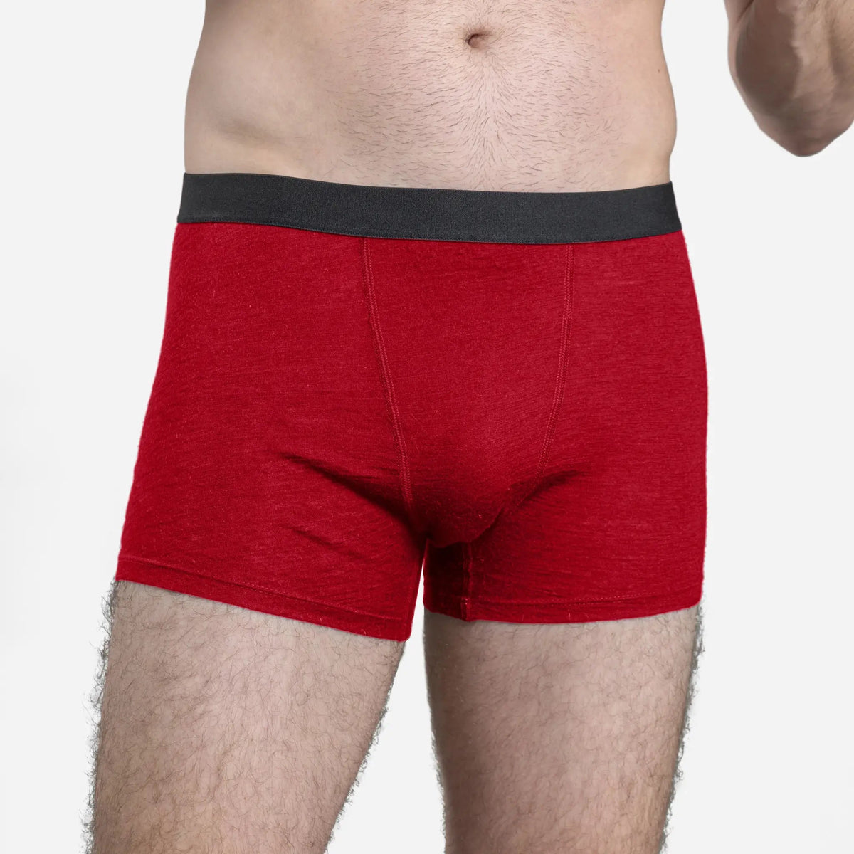 Men's Alpaca Wool Boxer Briefs: 160 Ultralight color Red
