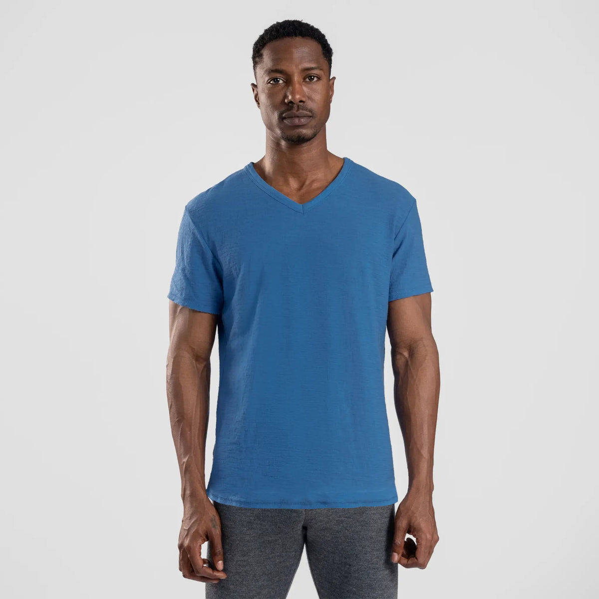 Men's Alpaca Wool T-Shirt: 160 Ultralight V-Neck color baby blue