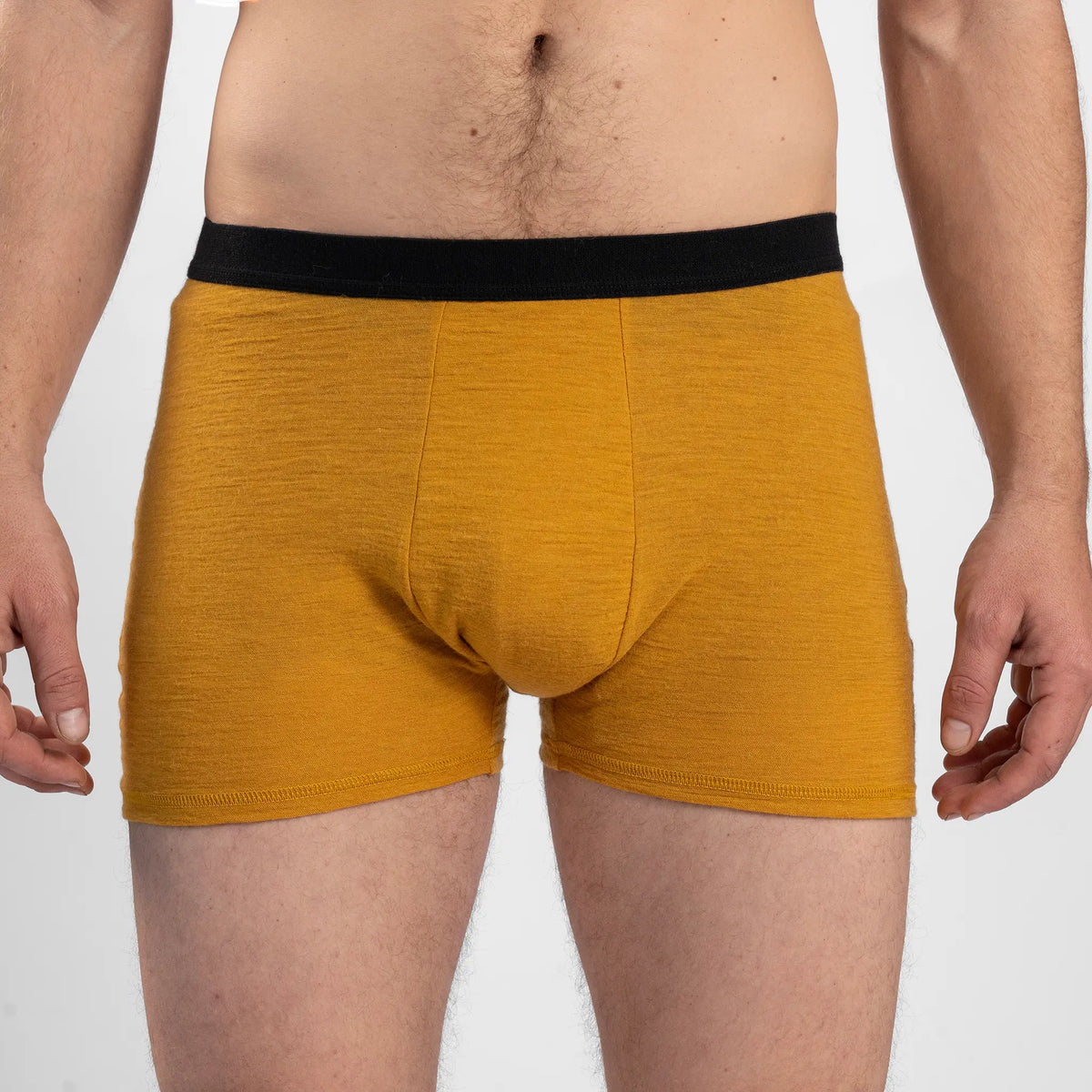 Men's Alpaca Wool Boxer Briefs: 160 Ultralight color gold