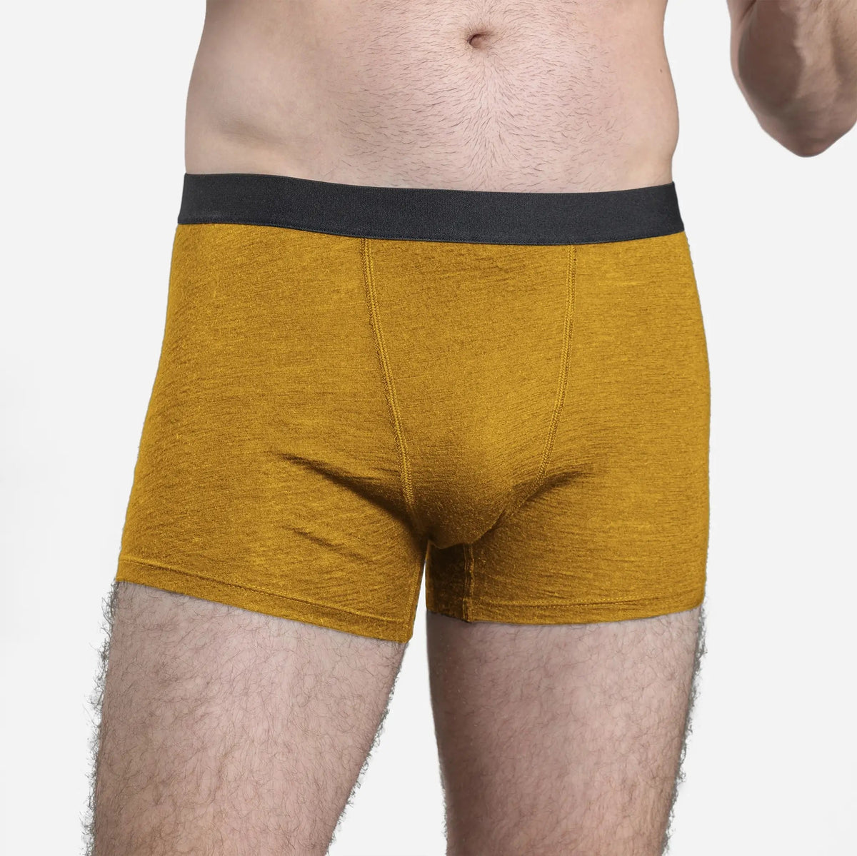 Men's Alpaca Wool Boxer Briefs: 160 Ultralight color Gold