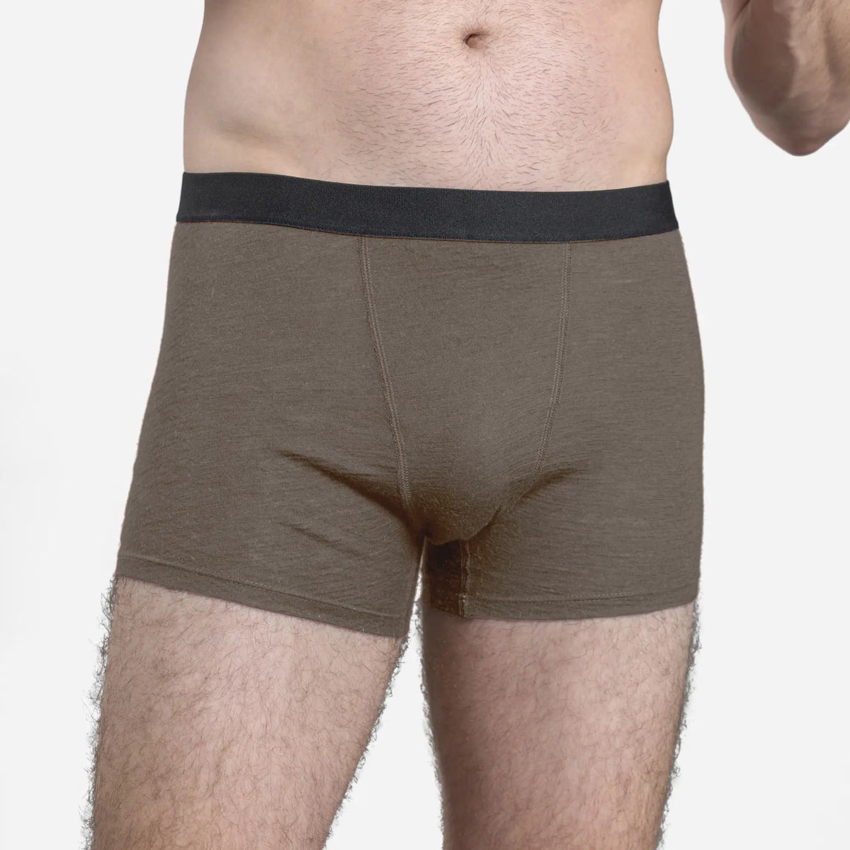 Men's Alpaca Wool Boxer Briefs: 160 Ultralight color natural gray