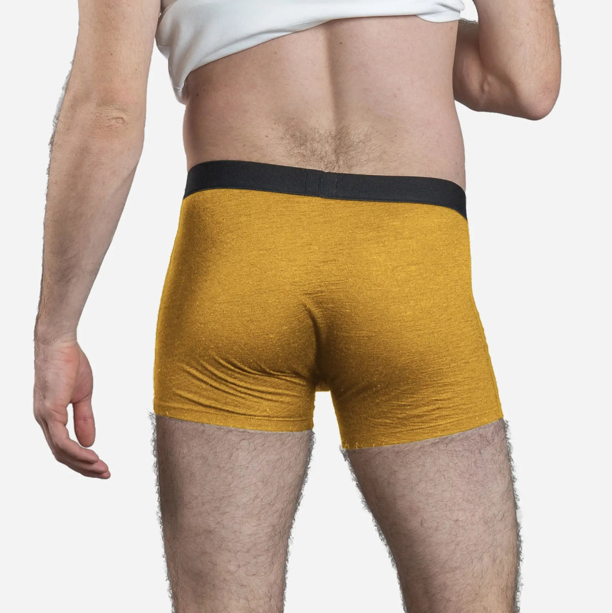 Men's Alpaca Wool Boxer Briefs: 160 Ultralight color Gold