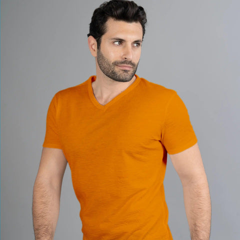 3 Pack Bundle - Men's Alpaca Wool V-Neck T-Shirts: 160 Ultralight