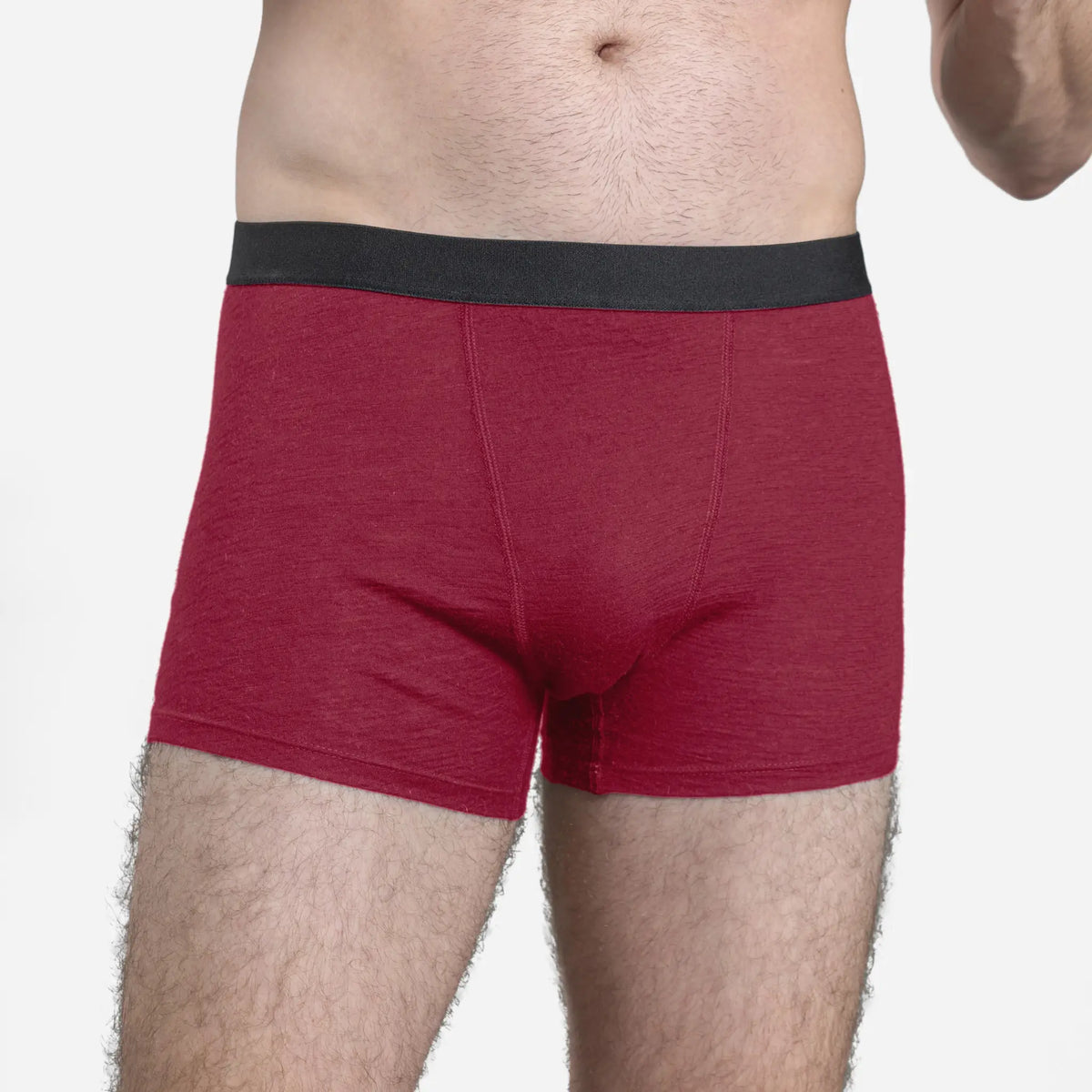 Men's Alpaca Wool Boxer Briefs: 160 Ultralight color natural red
