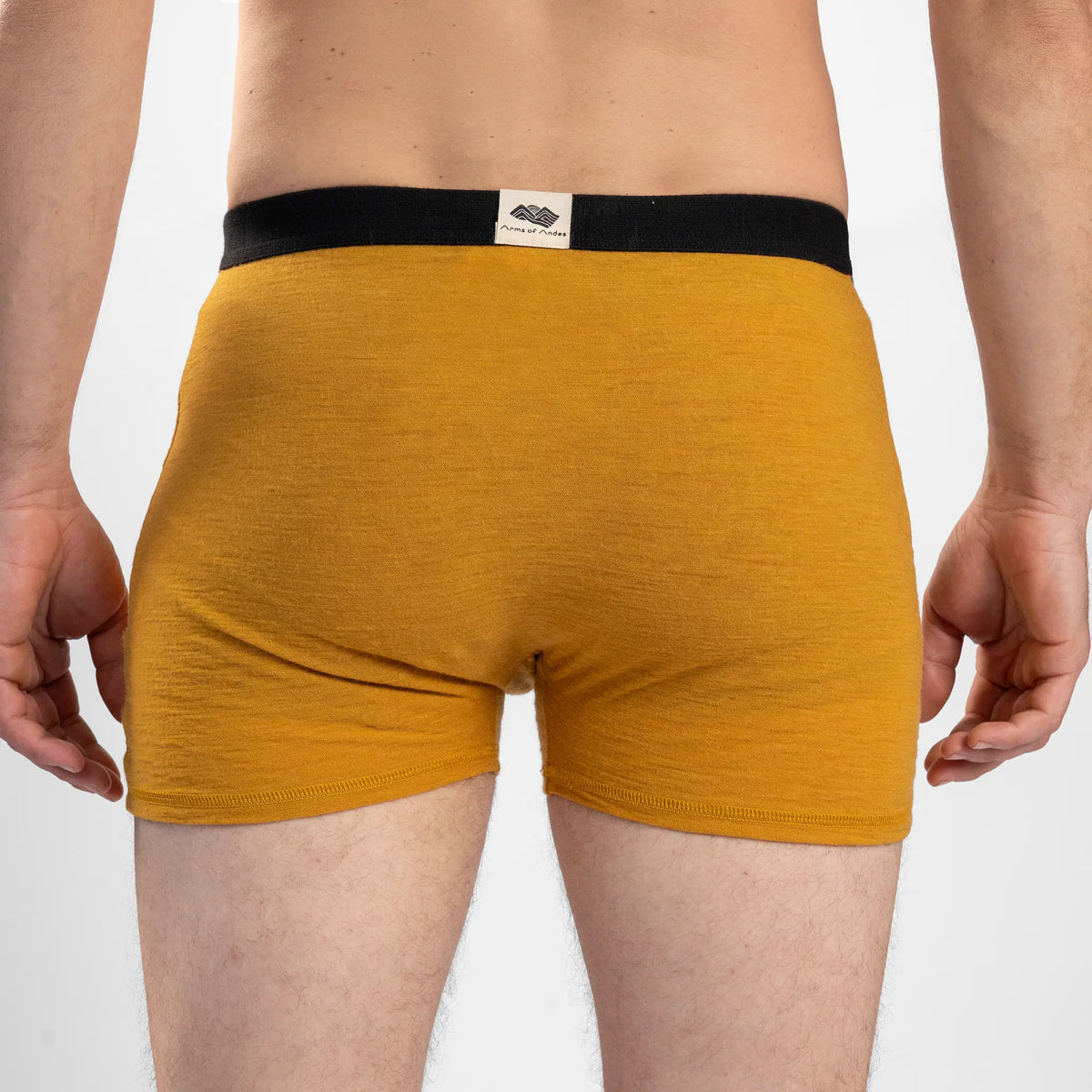Men's Alpaca Wool Boxer Briefs: 160 Ultralight color gold