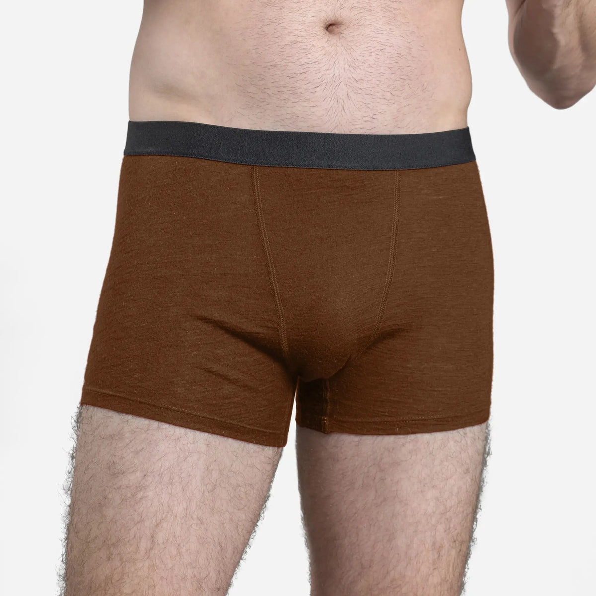 Men's Alpaca Wool Boxer Briefs: 160 Ultralight color Brown