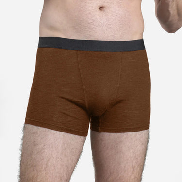 Men's Alpaca Wool Boxer Briefs: 160 Ultralight color Brown