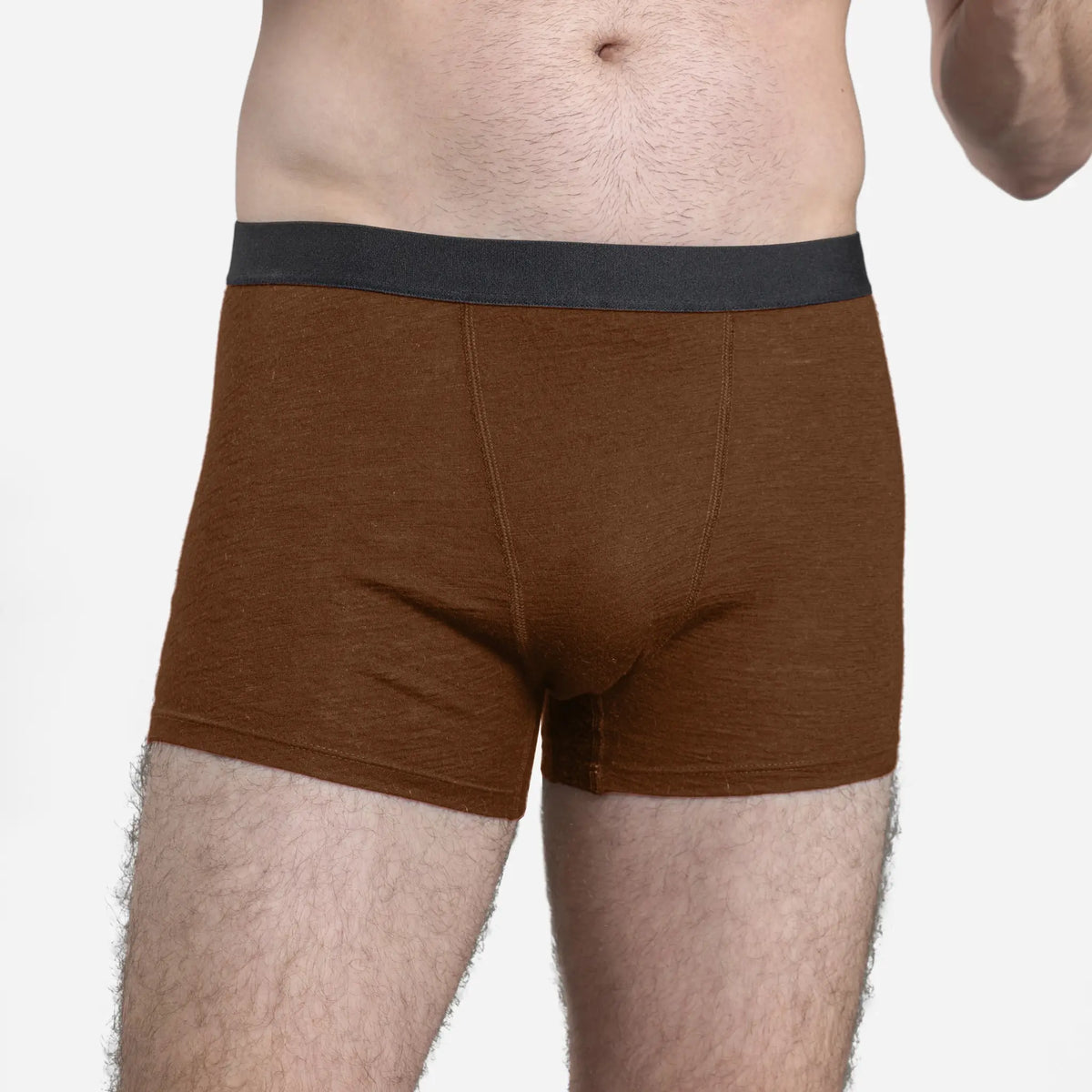 Men's Alpaca Wool Boxer Briefs: 160 Ultralight color brown