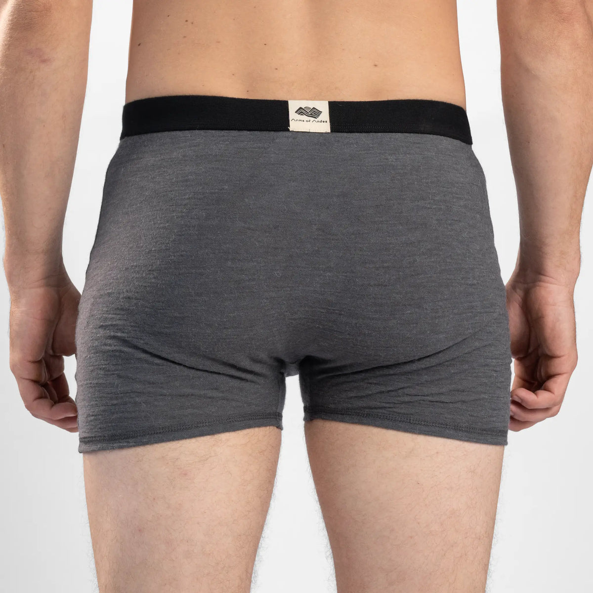 Men's Alpaca Wool Boxer Briefs: 160 Ultralight color gray