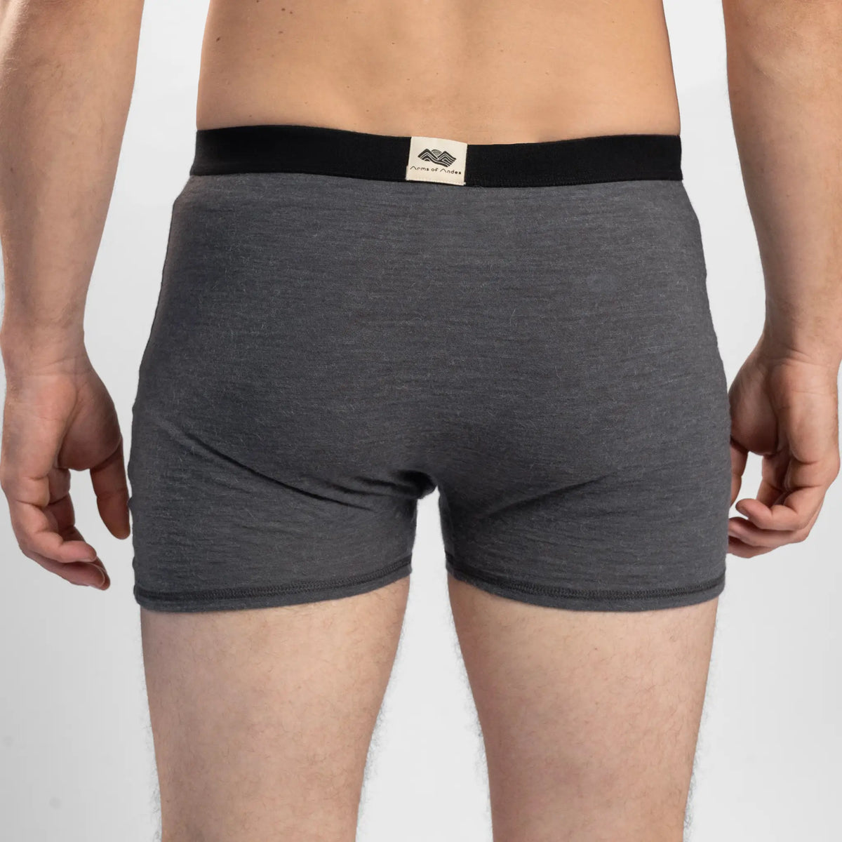 Men's Alpaca Wool Boxer Briefs fly color gray