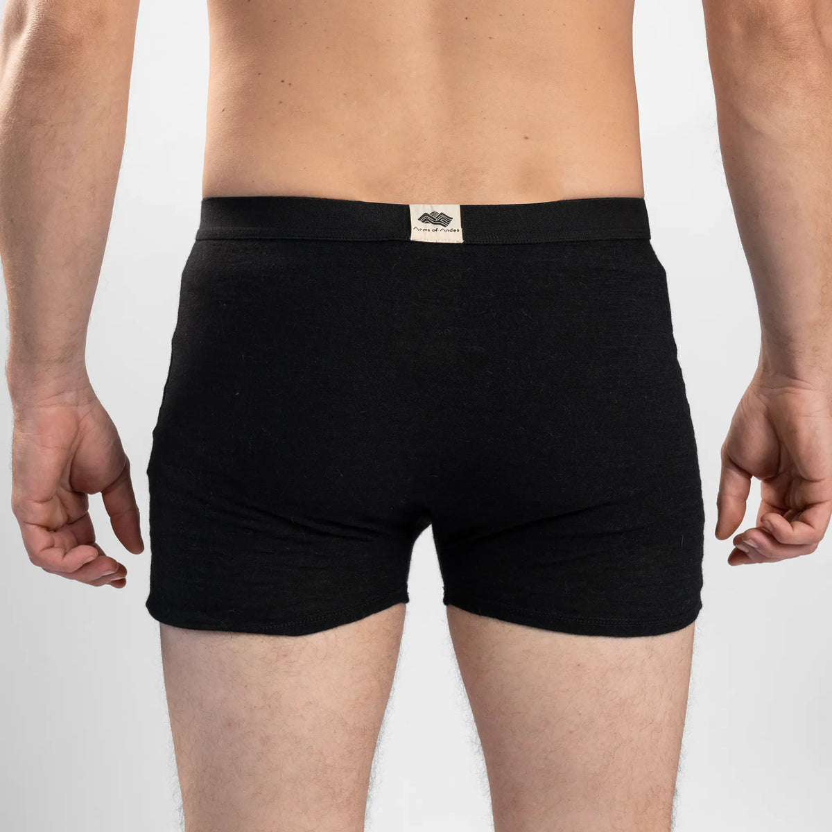 Men's Alpaca Wool Boxer Briefs: 160 Ultralight color black