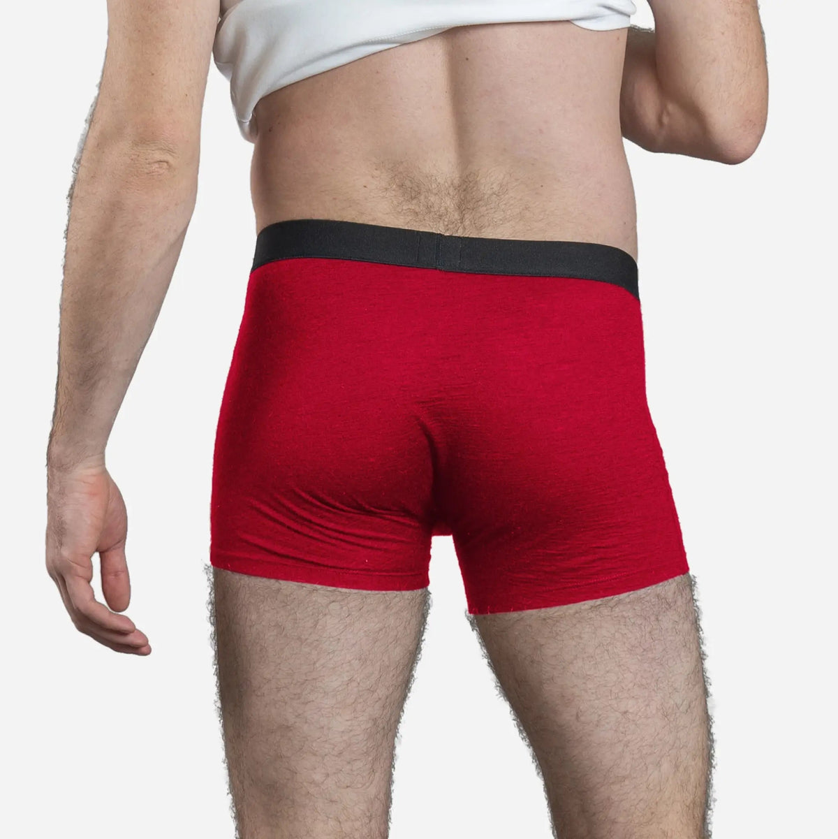 Men's Alpaca Wool Boxer Briefs: 160 Ultralight color Red