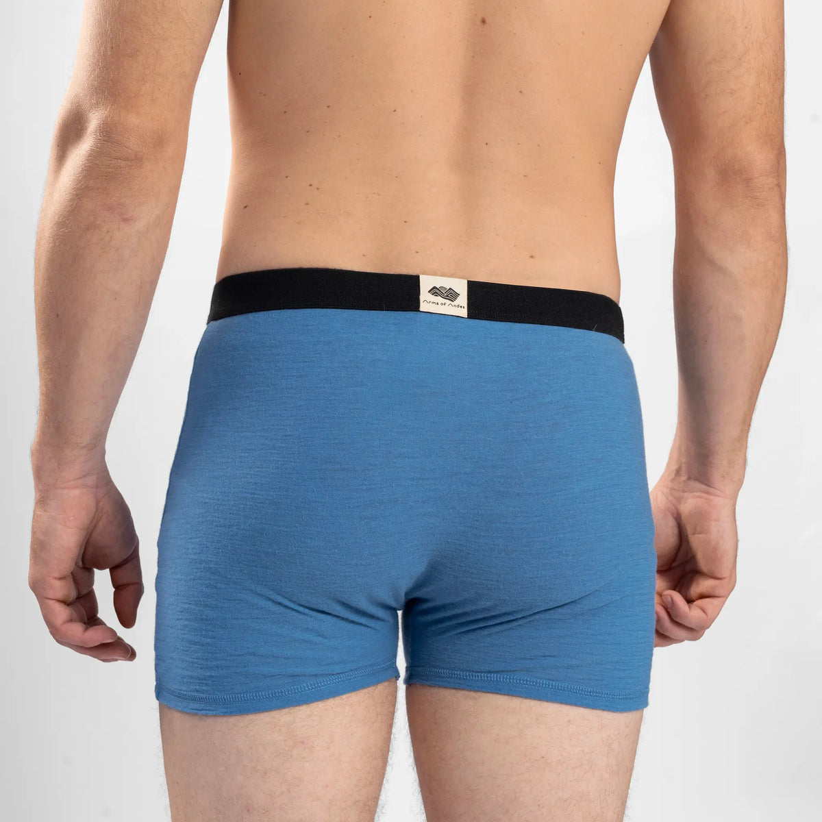 Men's Alpaca Wool Boxer Briefs: 160 Ultralight color baby blue