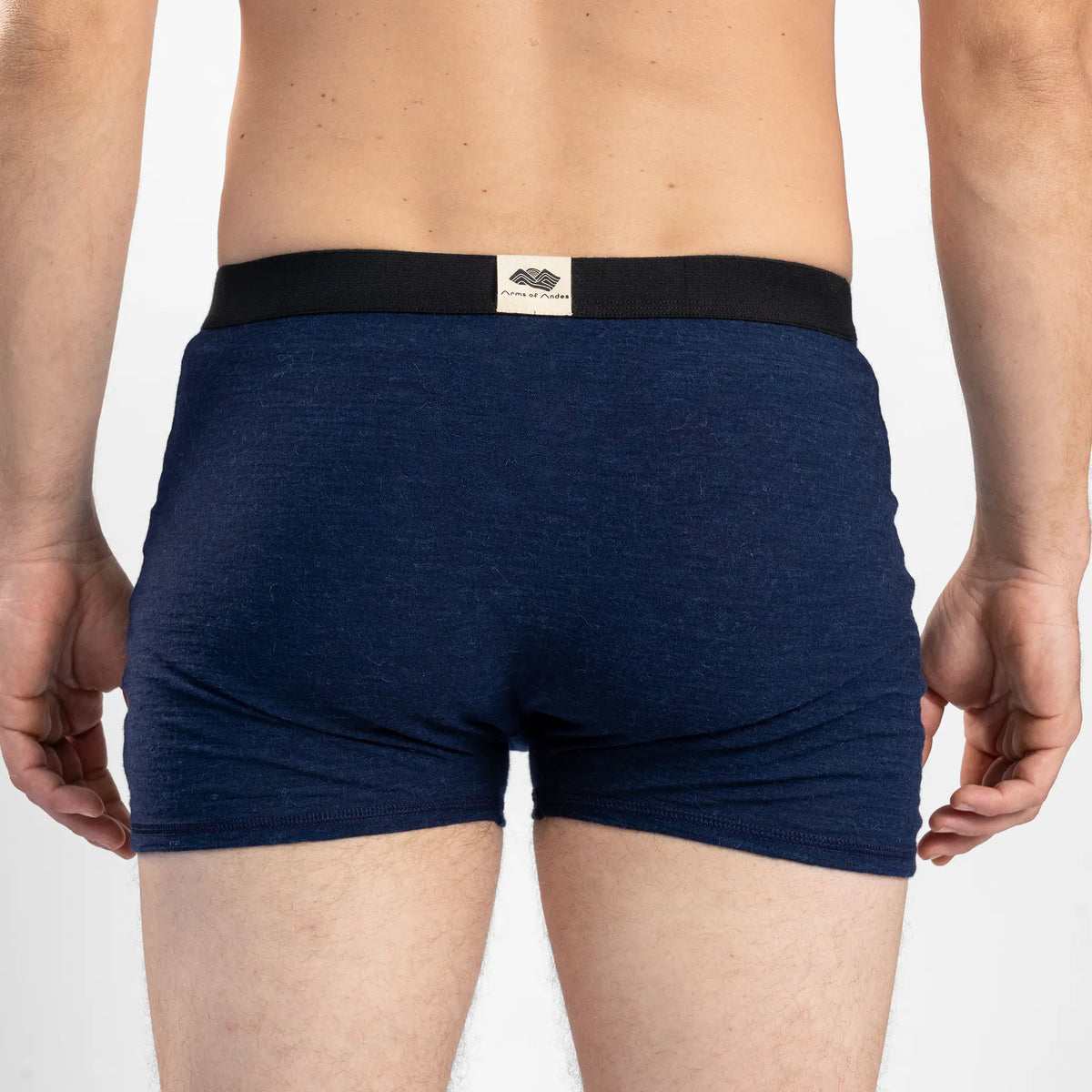 Men's Alpaca Wool Boxer Briefs: 160 Ultralight color navy blue