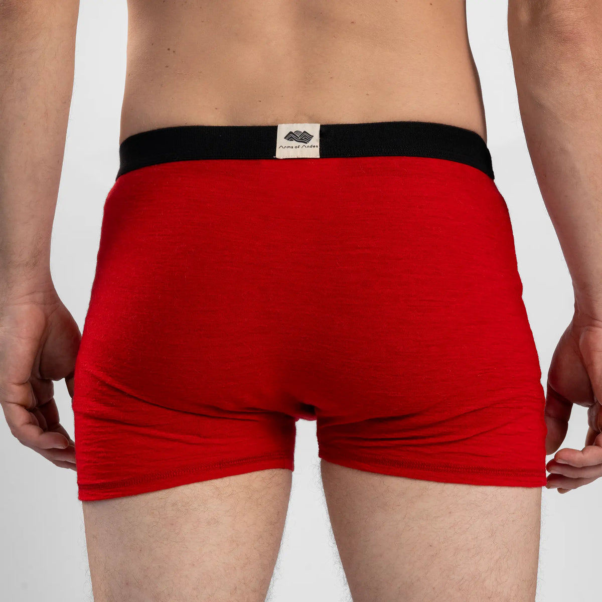 Men's Alpaca Wool Boxer Briefs: 160 Ultralight color red