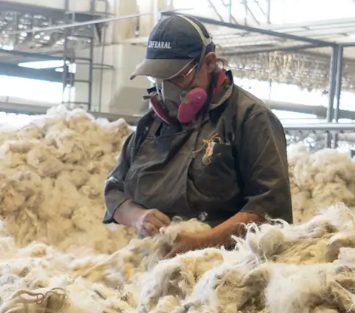 Clasificado de fibra de alpaca en Perú