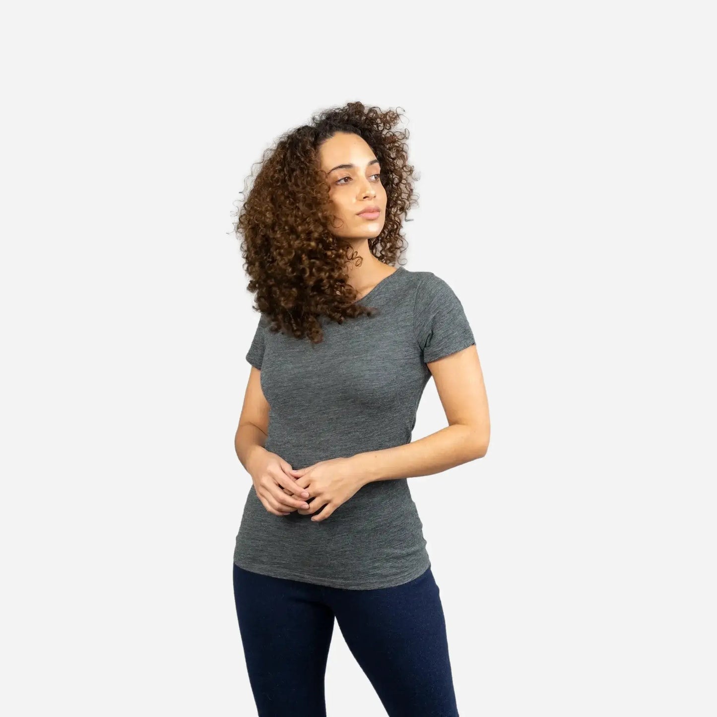 Women's Alpaca Wool T-Shirt: 160 Ultralight Crew Neck color gray