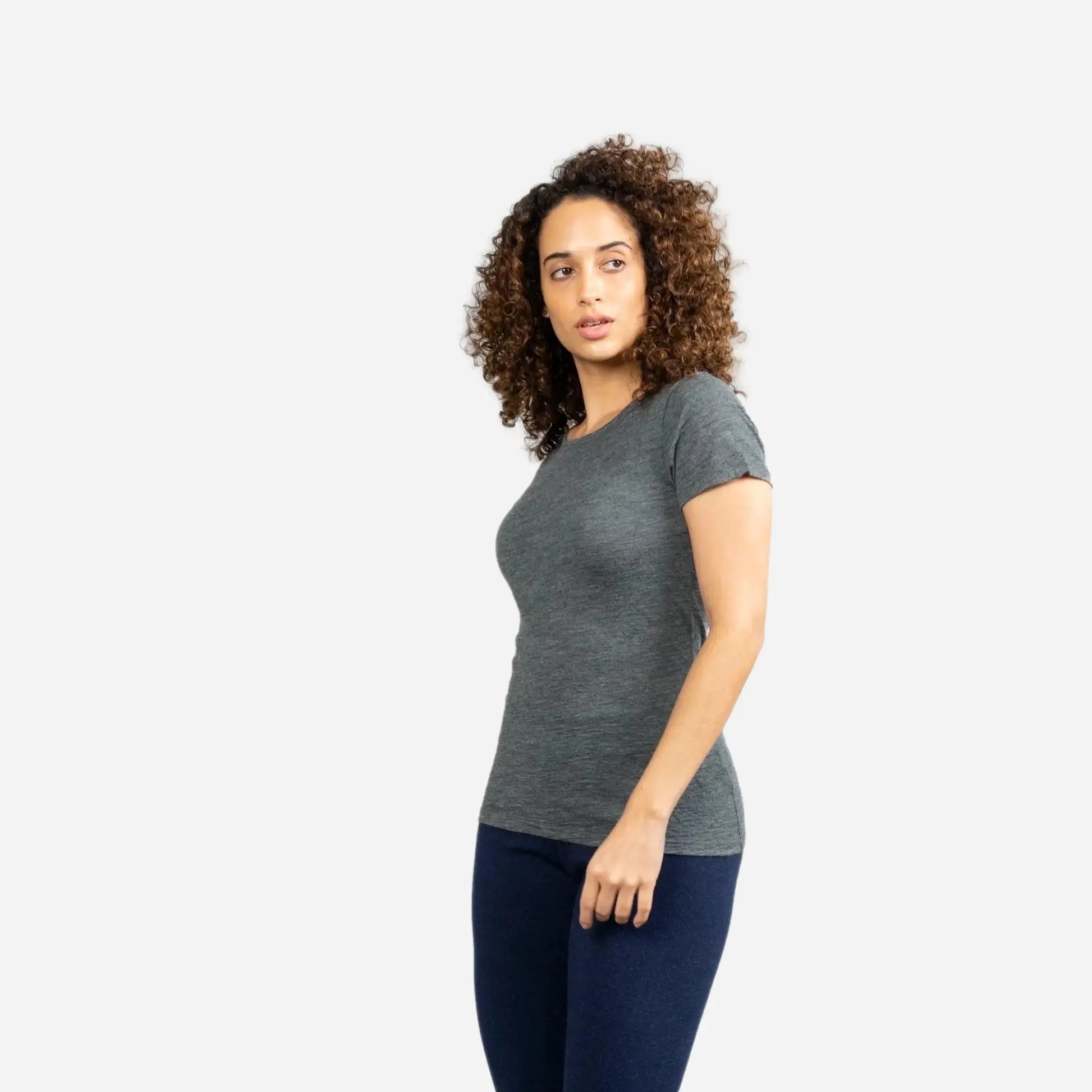 Women's Alpaca Wool T-Shirt: 160 Ultralight Crew Neck color gray